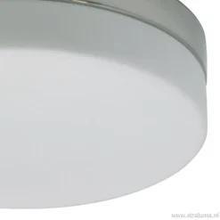 Badkamer plafonnière staal met wit glas