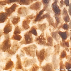 Capiz cilinderlamp schelpen 150cm