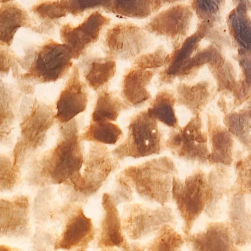 Grote schelpen wandlamp bruin met goud 60 cm