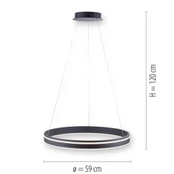 Hanglamp zwart ring 60cm + afst.bed.CCT