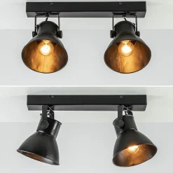 2-Lichts metalen plafondlamp Eliano mat zwart