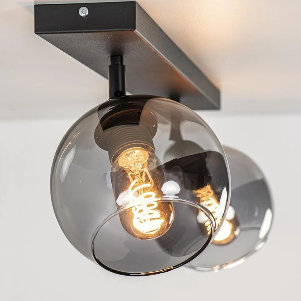 2-Lichts plafondlamp smoke glas met zwart