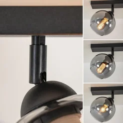 2-Lichts plafondlamp smoke glas met zwart