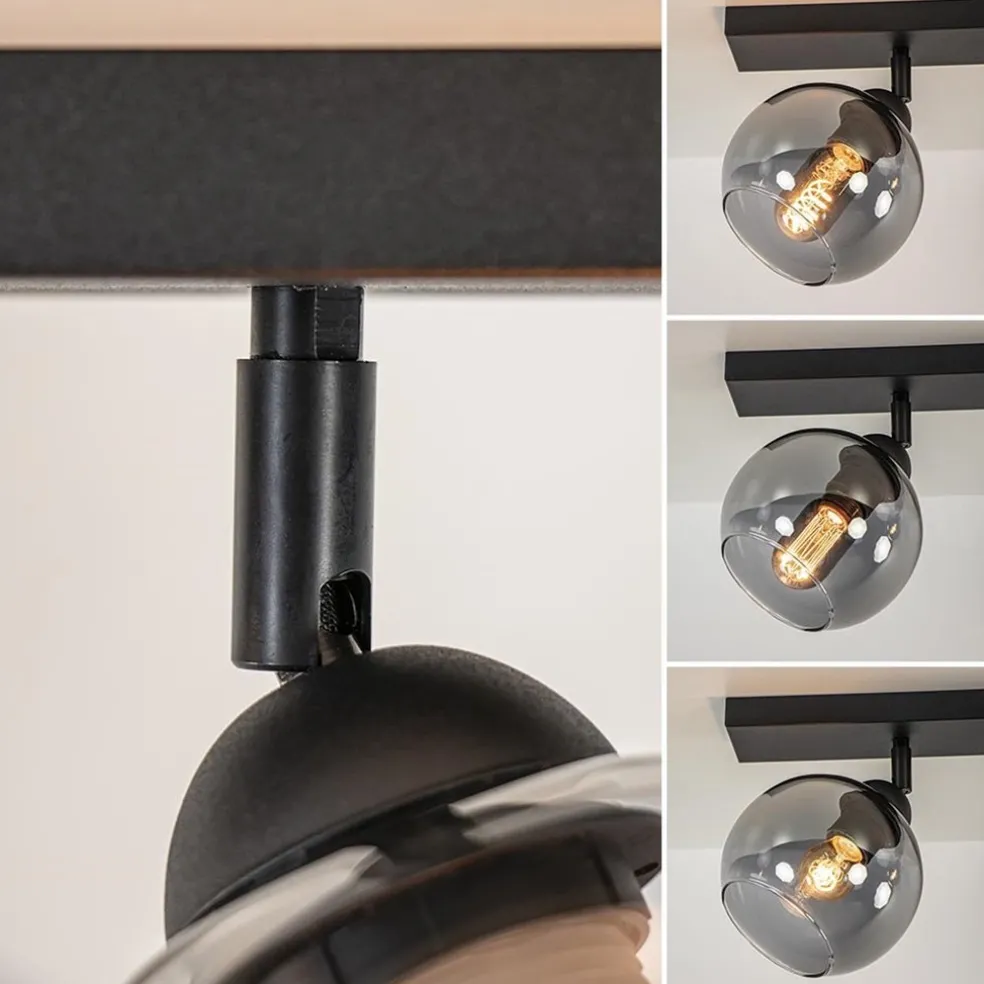 2-Lichts plafondlamp smoke glas met zwart