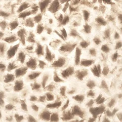 2-Lichts schelpen wandlamp met snoer