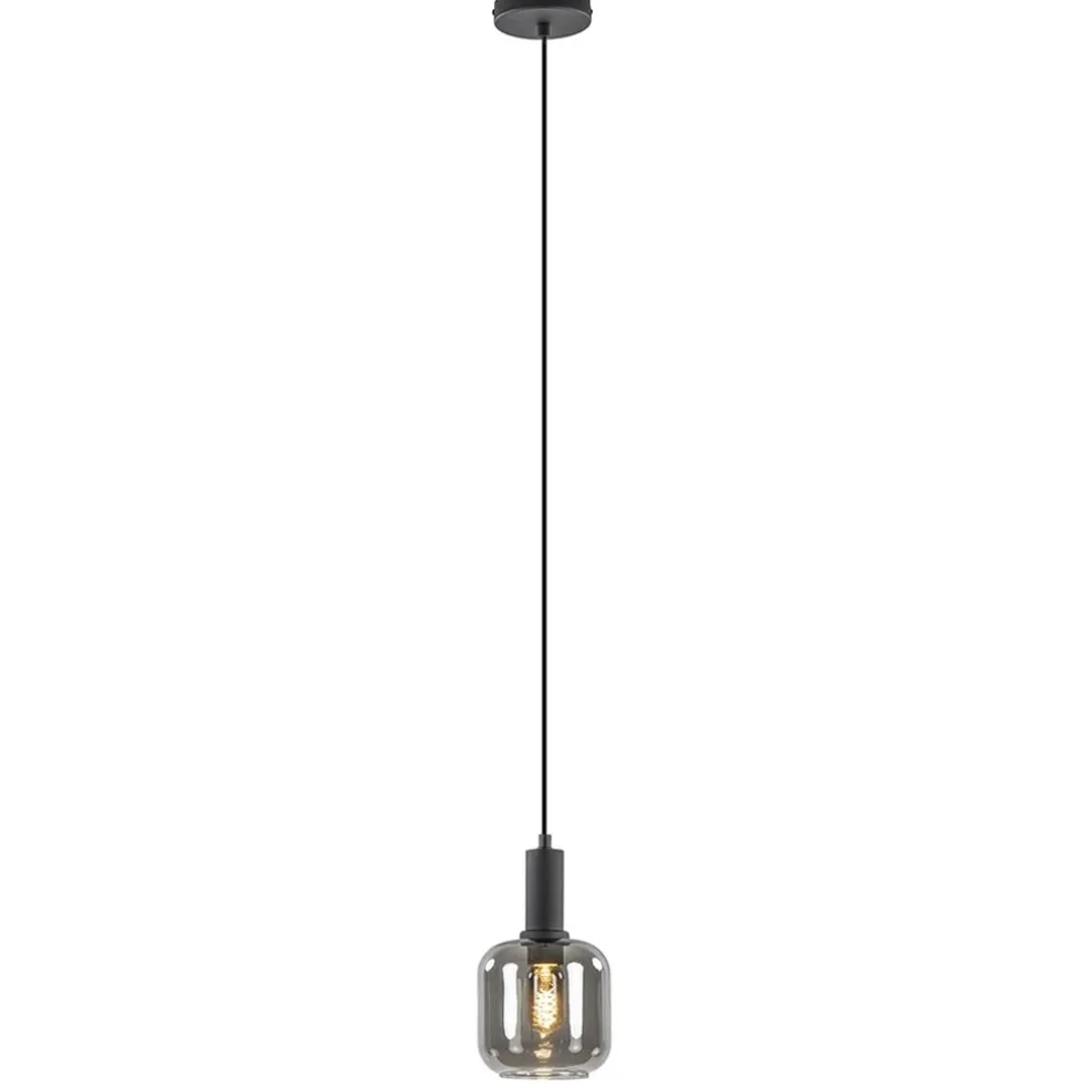 Light and Living hanglamp Lekar zwart met smoke glas klein