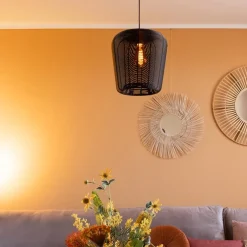 Mat zwarte hanglamp Adeta Light and Living