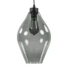 Mat zwarte hanglamp met smoke glas ruit
