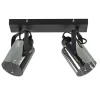 Mat zwarte 2-lichts plafondlamp met smoke glas