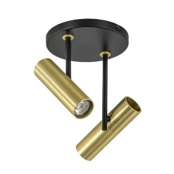 Opbouwspot 2-lichts rond zwart/brass verstelbaar