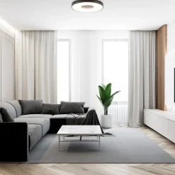 Plafondlamp Coin 65 zwart + remote