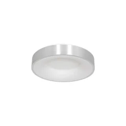 Plafondlamp Ringlede 30cm rvs led