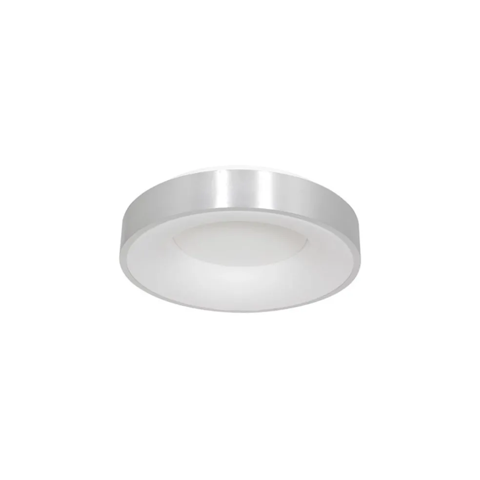 Plafondlamp Ringlede 30cm rvs led