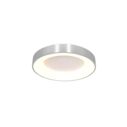 Plafondlamp Ringlede 30cm rvs led