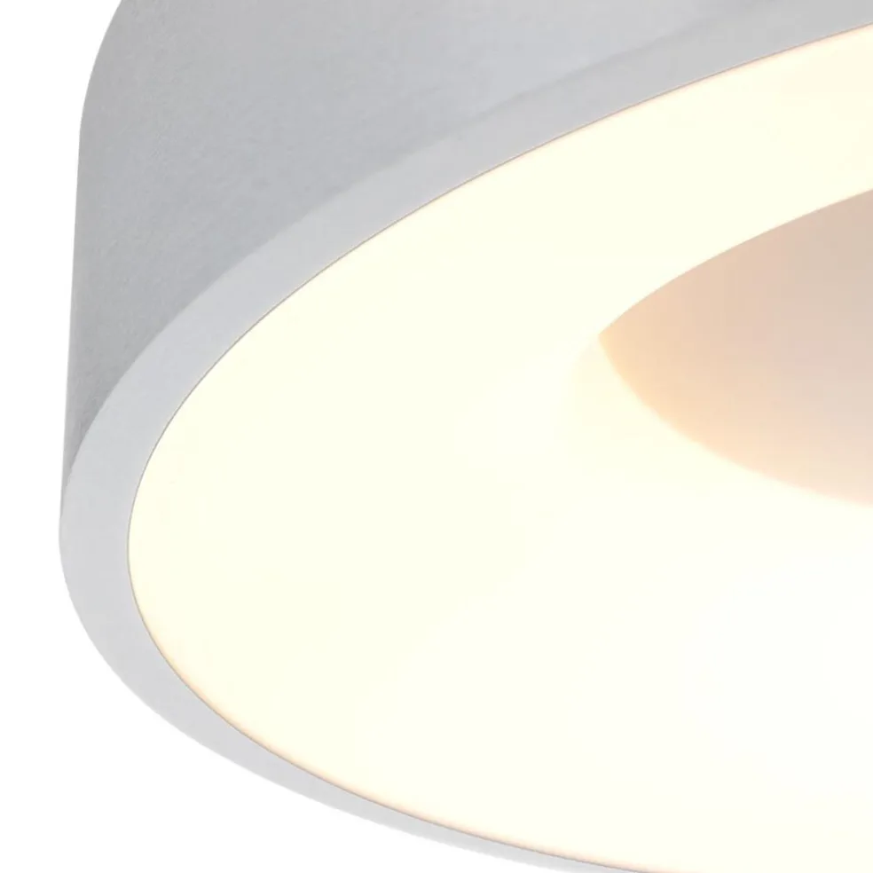 Plafondlamp Ringlede 30cm rvs led