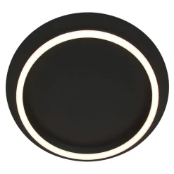 Plafondlamp Ringlux zwart