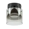 Plafondlamp Salerno zwart/smoke glas