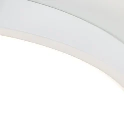 Plafondlamp wit met bewegingssensor