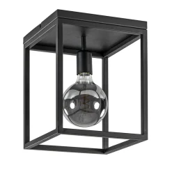 Plafondlamp zwart open frame