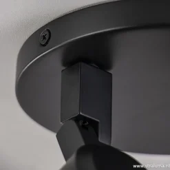 Plafondspot Rain 2L rond zwart IP44