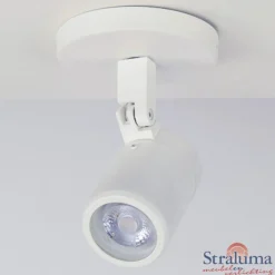 Plafondspot wit gu10 IP44